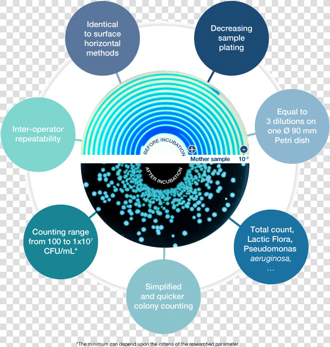 Img png methodespiral Eu dist En   Spiral Plating Method  Transparent PngTransparent PNG