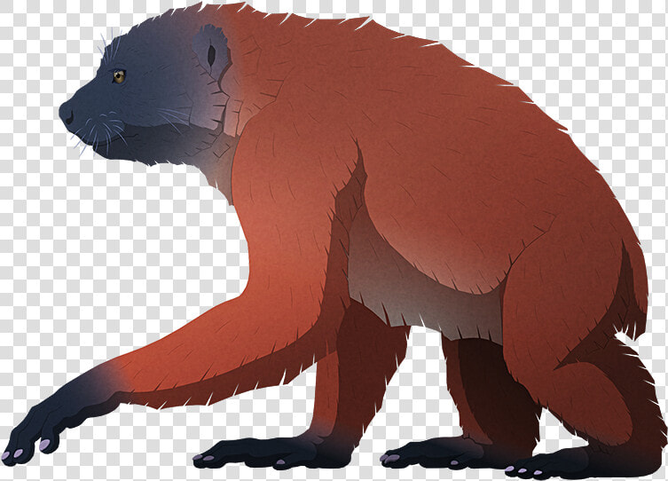 Island Weirdness   Fontoynontii Giant Lemur  HD Png DownloadTransparent PNG