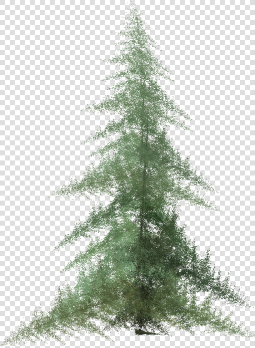 Transparent Pine Tree Top View Png   Watercolor Pine Tree Png  Png DownloadTransparent PNG