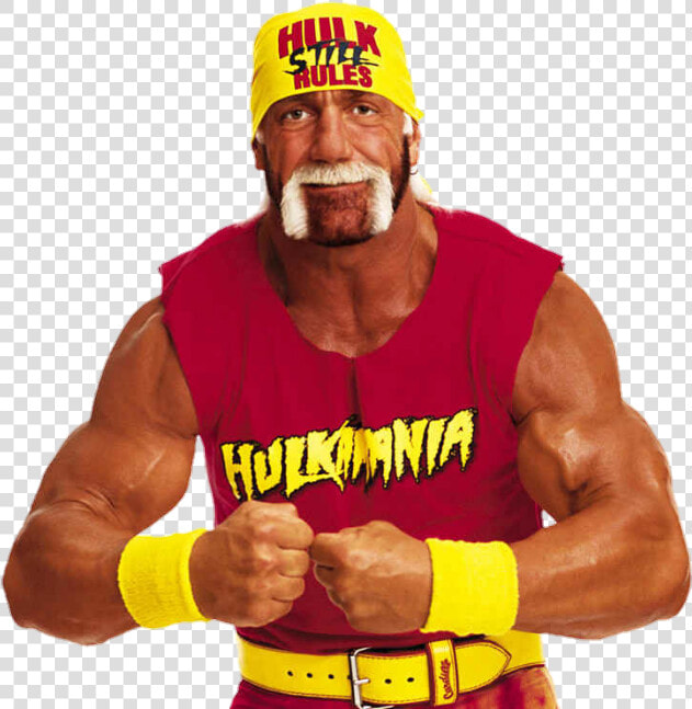 Hulk Hogan Face Png   Hulk Hogan  Transparent PngTransparent PNG