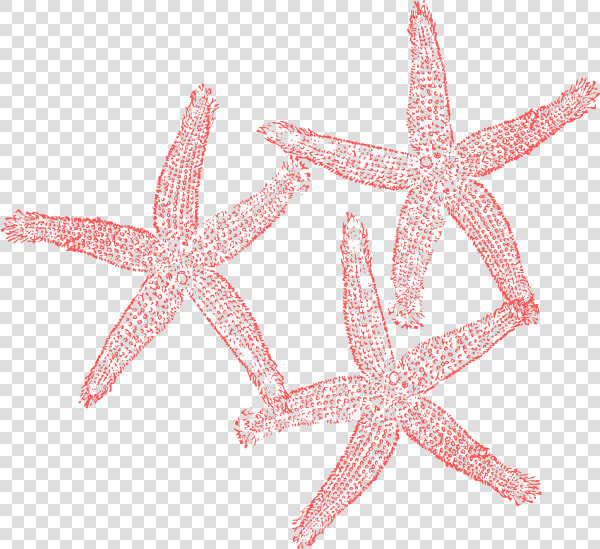 Coral Reef Clip Art Pink   Beach Corals Clip Art  HD Png DownloadTransparent PNG