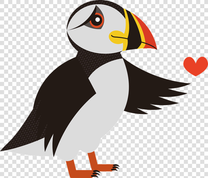 Puffin  Bird  Sea  Birds  Animal  Iceland  Waterfowl   Lunde Fugl Png  Transparent PngTransparent PNG