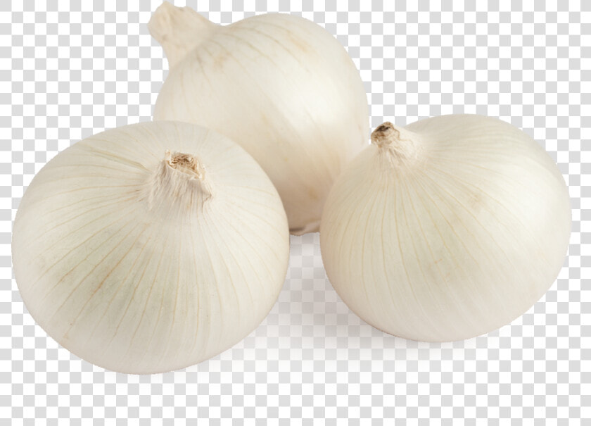 White Onion   Cebolla Blanca Png  Transparent PngTransparent PNG