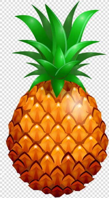 Pineapple Png   Pineapple Clipart  Transparent PngTransparent PNG