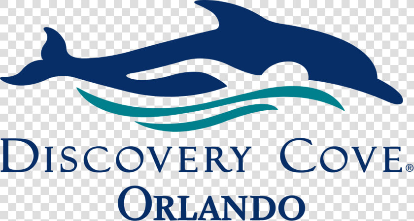 Seaworld Discovery Cove Logo  HD Png DownloadTransparent PNG