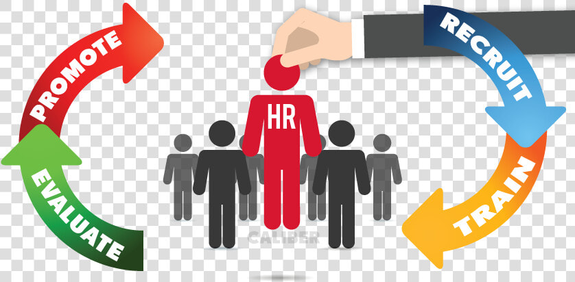 Human Resources Management Png  Transparent PngTransparent PNG