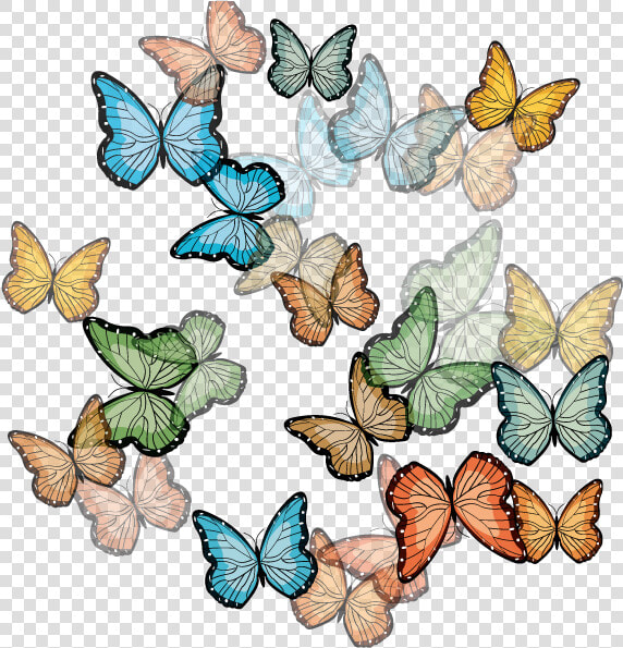 Transparent Mariposas Volando Png   Mariposas Volando Png  Png DownloadTransparent PNG