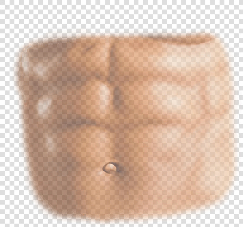 Six Pack Abs Png  Transparent PngTransparent PNG