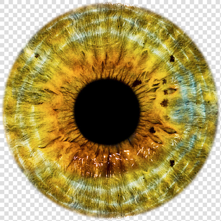 Transparent Eye Ball Png   Gray Eye Lens Png  Png DownloadTransparent PNG