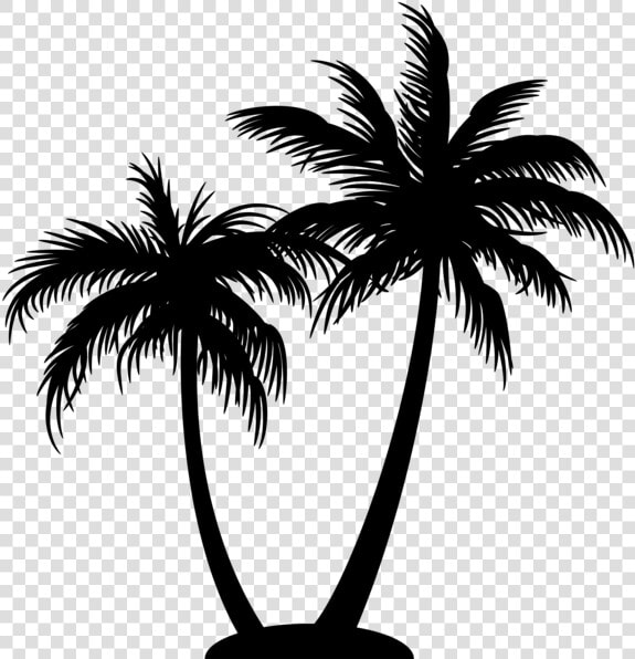 Palm Tree Logo On Black And White   Coconut Tree Silhouette Png  Transparent PngTransparent PNG