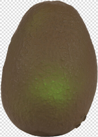 Avacado Teether   Oli  amp  Carol  HD Png DownloadTransparent PNG