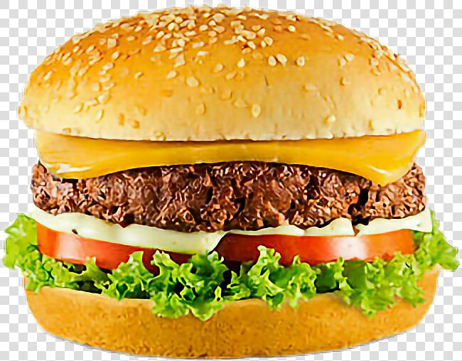 Transparent Hamburguer Png   X Salada  Png DownloadTransparent PNG