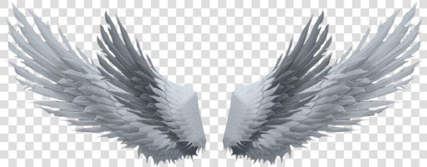 Fotos Com Asas No   Picsart Devil Wings Png  Transparent PngTransparent PNG