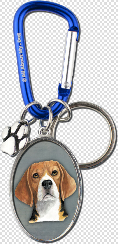 Beagle Png  Transparent PngTransparent PNG