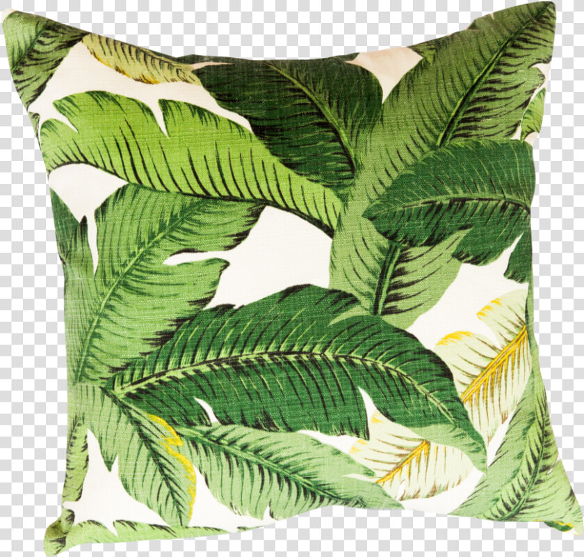 Cm1 3880 83   Throw Pillow  HD Png DownloadTransparent PNG