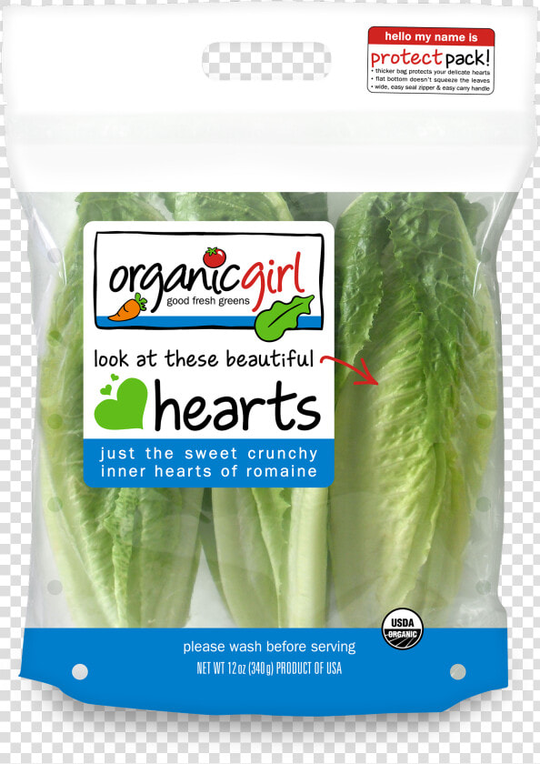 Romaine Lettuce Png  Transparent PngTransparent PNG