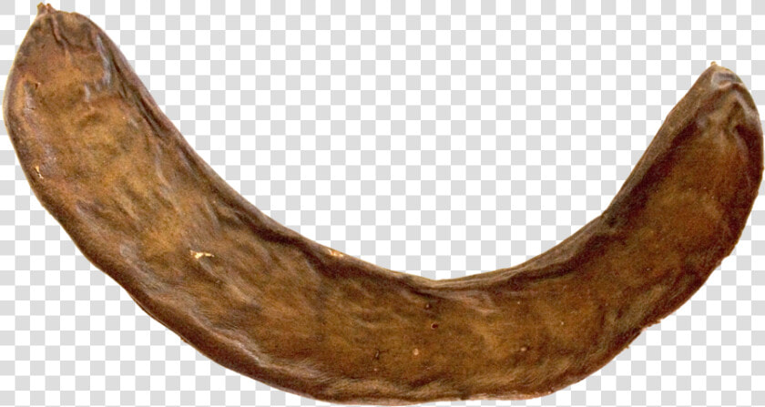 Shofar Png  Transparent PngTransparent PNG