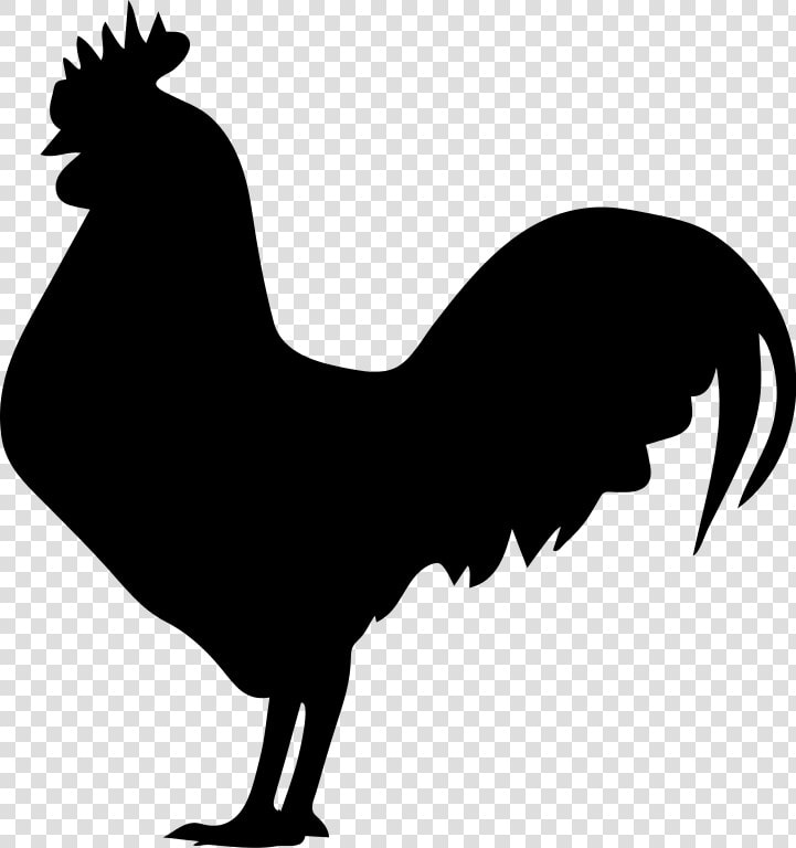 Chicken Scalable Vector Graphics Rooster Clip Art Silhouette   Rooster Silhouette Png  Transparent PngTransparent PNG