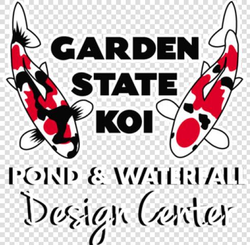 Call Of Duty Clipart Pond Fish   Garden State Koi  amp  Aquatic Center  HD Png DownloadTransparent PNG