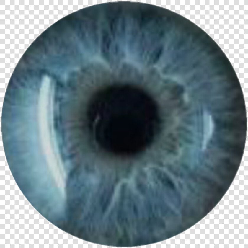 Transparent Ojo Png   Blue Eyes For Editing  Png DownloadTransparent PNG