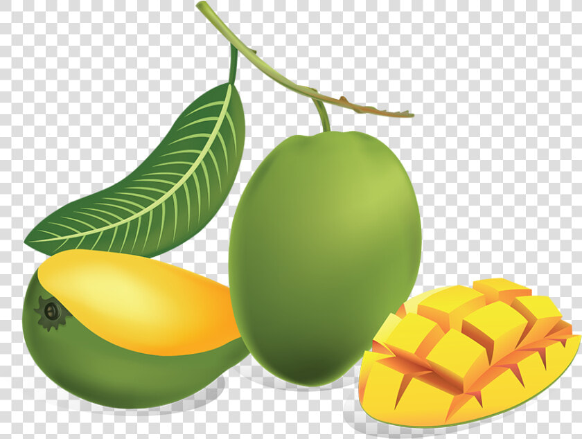 Download Green Mango Png   Green Mango Png  Transparent PngTransparent PNG