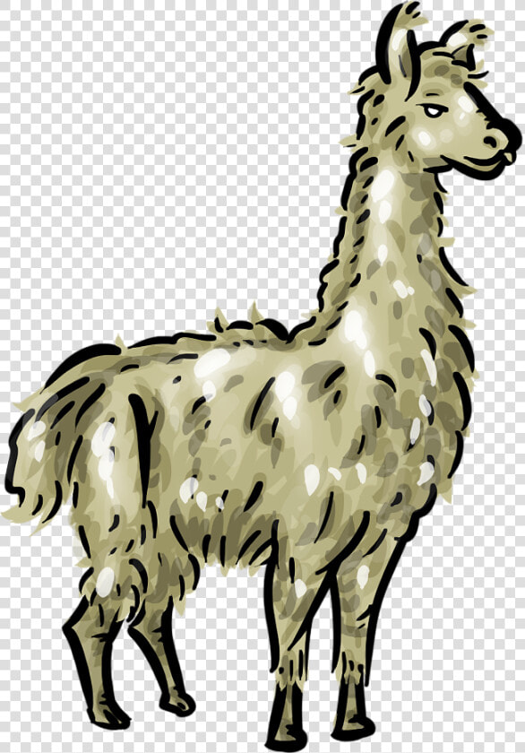 Free Llama 1 Page Of Public Domain Clipart   Transparent Llama Clipart  HD Png DownloadTransparent PNG