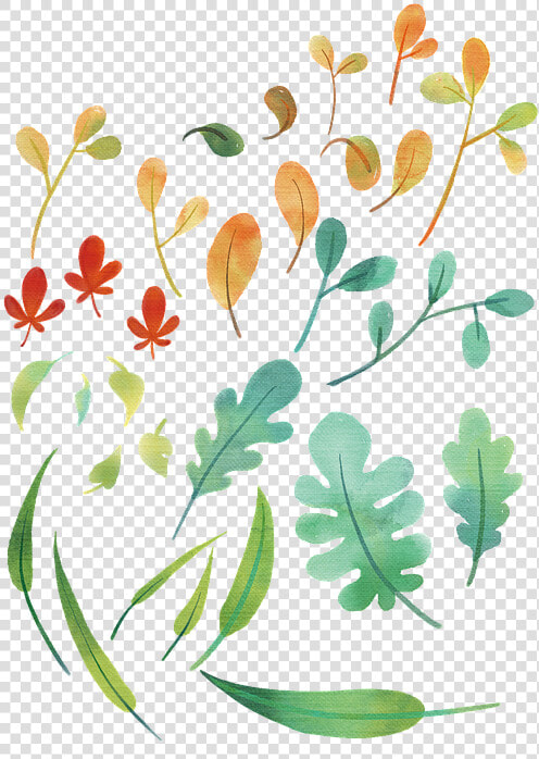 Plantas  Las Hojas  Hojas  Hoja De Arce  Patrón  Fondo   Floral Design  HD Png DownloadTransparent PNG