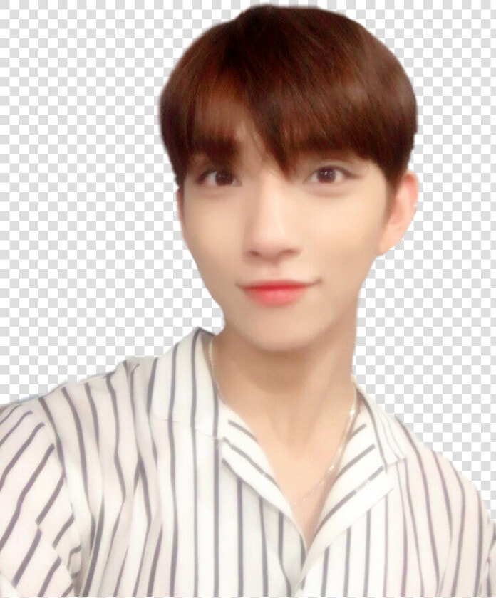  png  joshua  hong  jisoo  seventeen  kpop   Girl  Transparent PngTransparent PNG