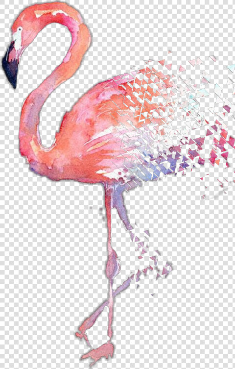 Transparent Watercolor Flamingo Png   Watercolor Flamingos  Png DownloadTransparent PNG