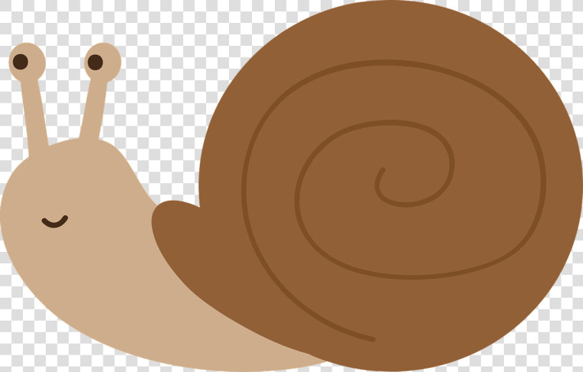 Snail  Molluscum  Shell  Nature  Field   Cartoon Transparent Snail  HD Png DownloadTransparent PNG