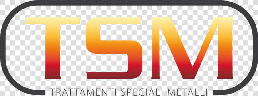 Tsm Logo Png  Transparent PngTransparent PNG