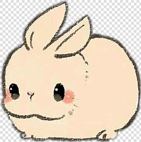 Rabbit Rabit Animal Pet Kawaii Cute   Cute Baby Bunny Drawing  HD Png DownloadTransparent PNG