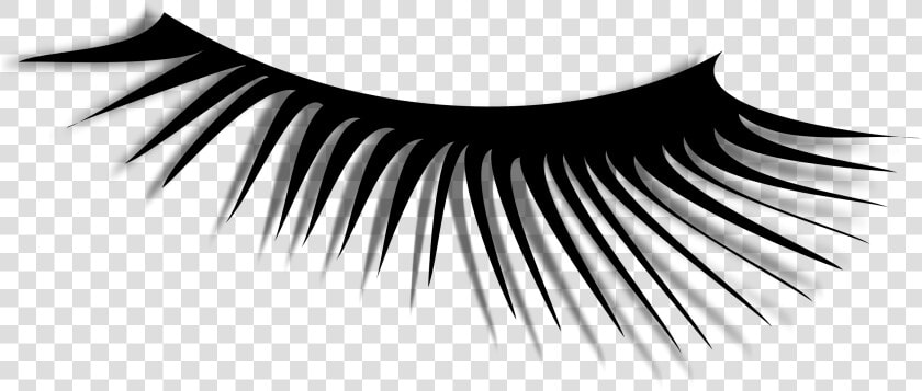 Eye Lash Images   Eye Hair Png  Transparent PngTransparent PNG