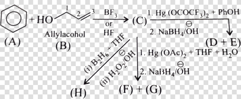 Hydroboration Oxidation Reaction Class 12  HD Png DownloadTransparent PNG