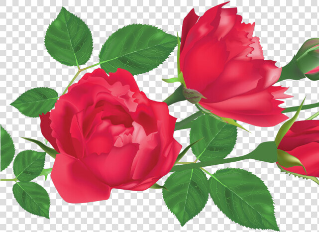 Red Rose Clipart Leaf Png   Transparent Png Rose Leaf Png  Png DownloadTransparent PNG