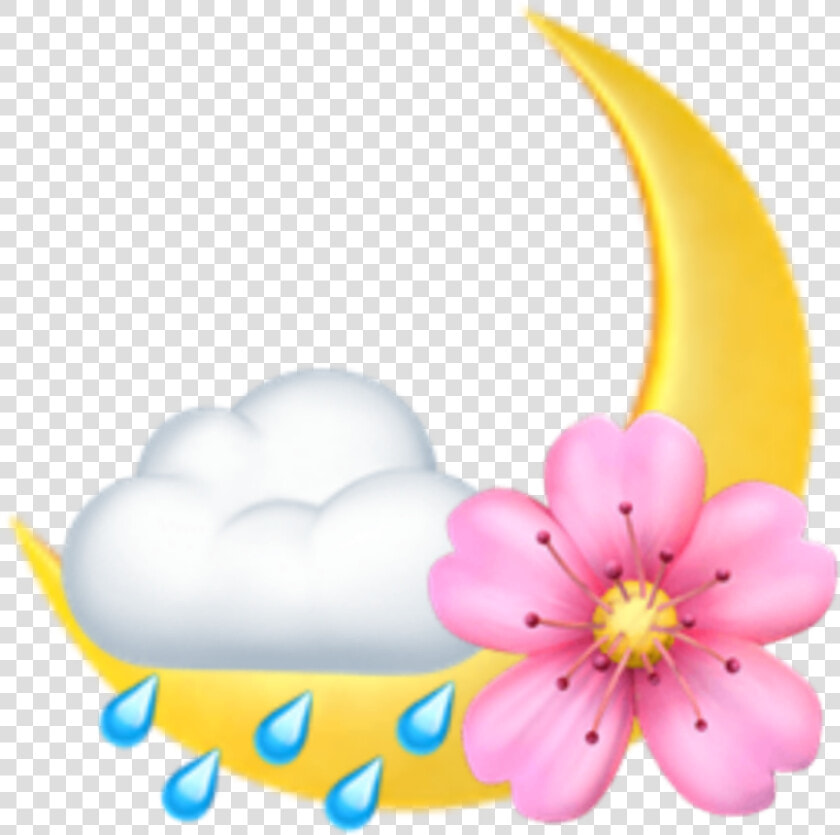  moon  flower  rain  emoji  emojicombo  emojicombos   Iphone Flower Emoji Png  Transparent PngTransparent PNG