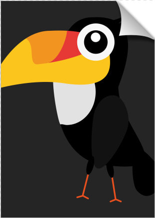 Toucan Bird   Toucan  HD Png DownloadTransparent PNG