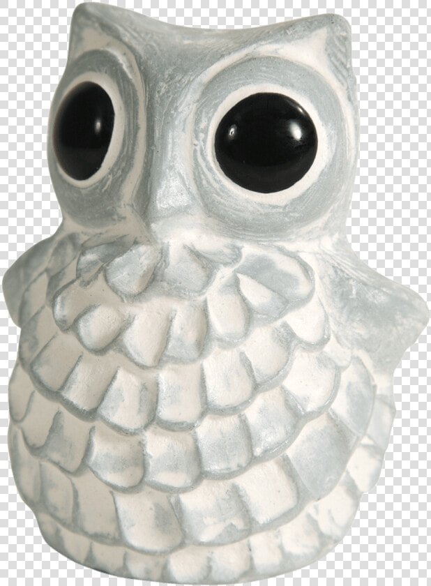 Isabel Bloom Owl  HD Png DownloadTransparent PNG