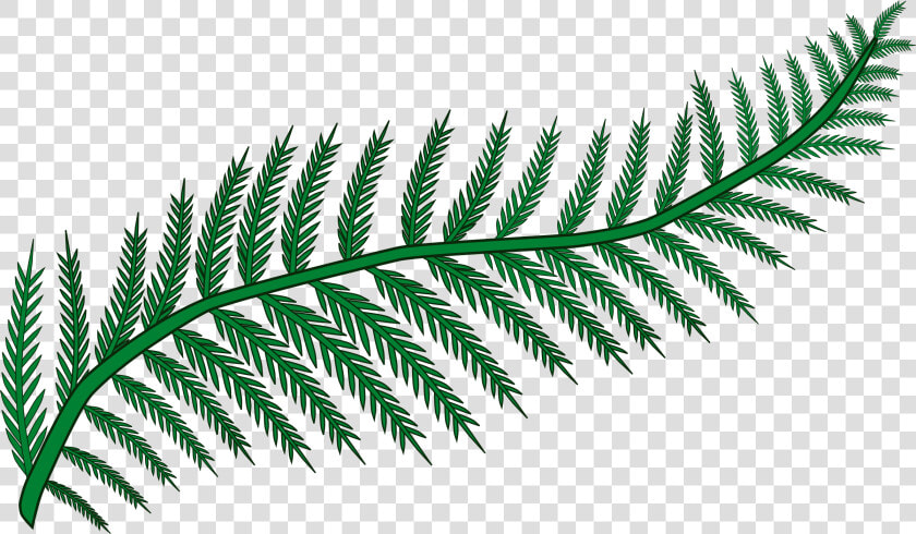 Fern  Png V   Clipart Fern  Transparent PngTransparent PNG