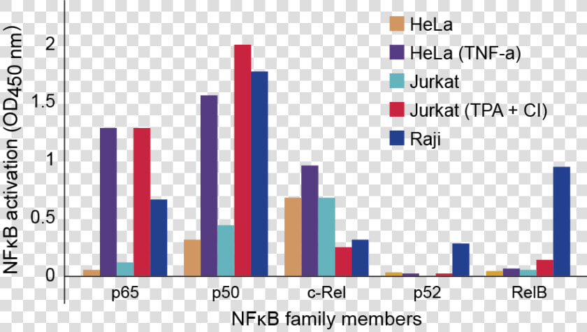 Nfkb Family Profiling Of Dna Binding Activation In   Jurkat Tnf  HD Png DownloadTransparent PNG