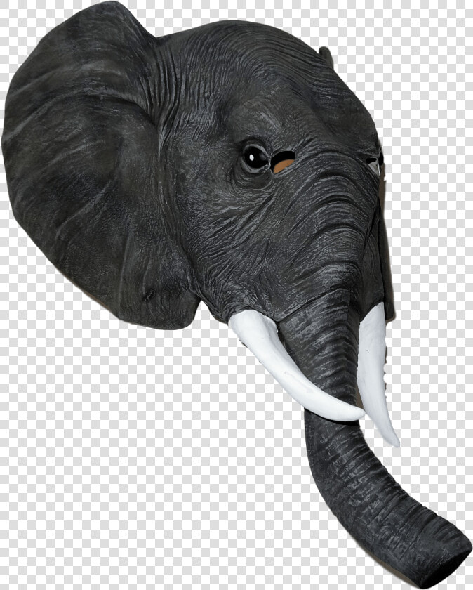 Transparent Robin Mask Png   Elephant Mask Png  Png DownloadTransparent PNG