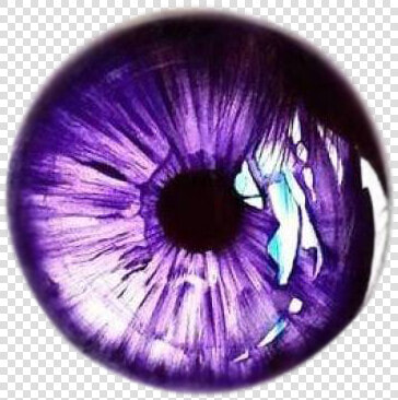 Iris Eyes Art Color Purple Eye Drawing Clipart  HD Png DownloadTransparent PNG