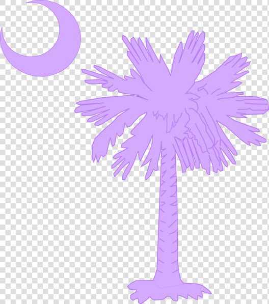 South Carolina Palmetto Tree  HD Png DownloadTransparent PNG