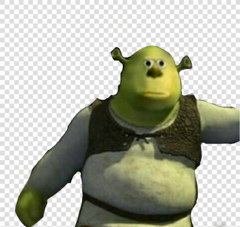  cursed  meme  shrek  mikewazowsky  mike  wazowski   Funny Mike Wazowski Memes  HD Png DownloadTransparent PNG