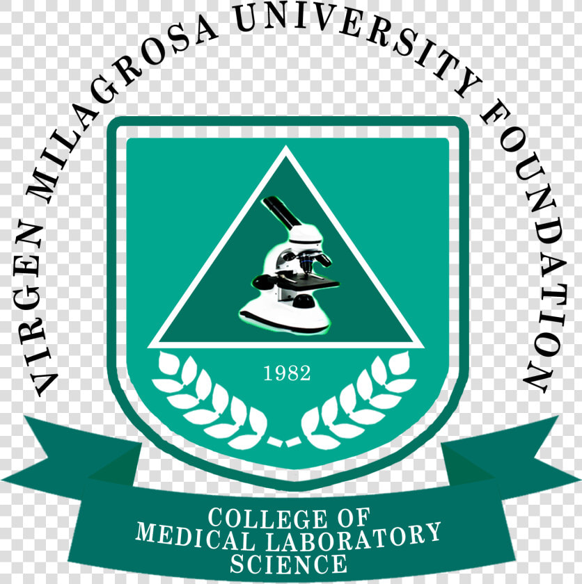 Virgen Png   Png Download   Virgen Milagrosa University Foundation College Of Medicine  Transparent PngTransparent PNG