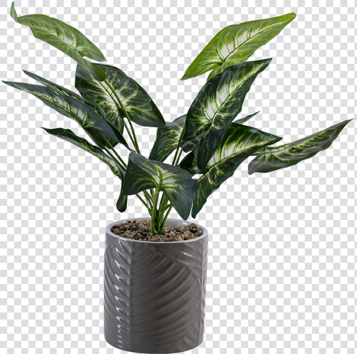 Flowerpot  HD Png DownloadTransparent PNG