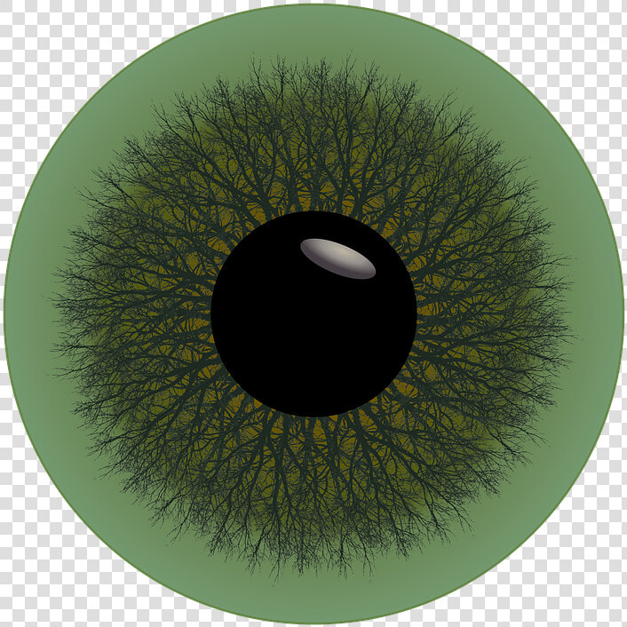 Eye  Iris  Green  Trees  Circle  Pupil  Sight  Looking   Circle  HD Png DownloadTransparent PNG