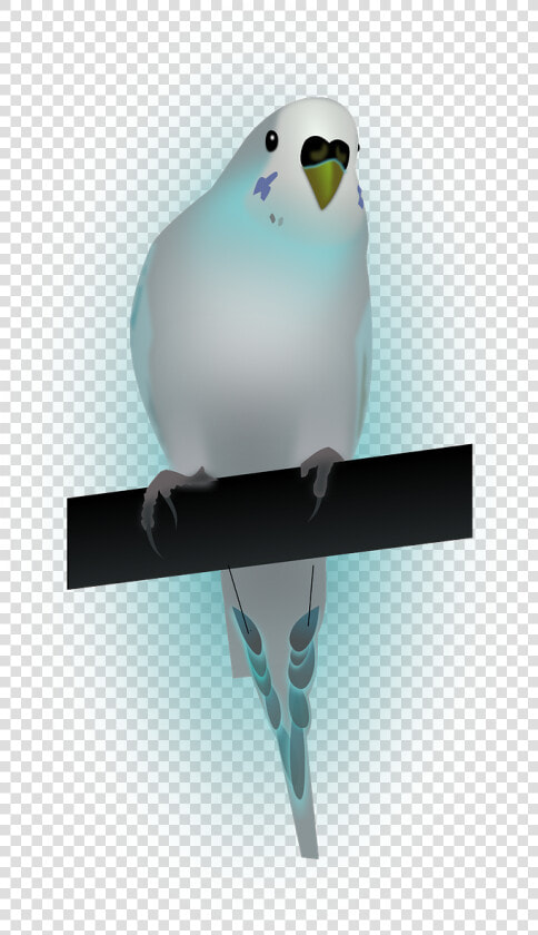 Bird dove dove Of Peace peace   Papużka Falista Png  Transparent PngTransparent PNG