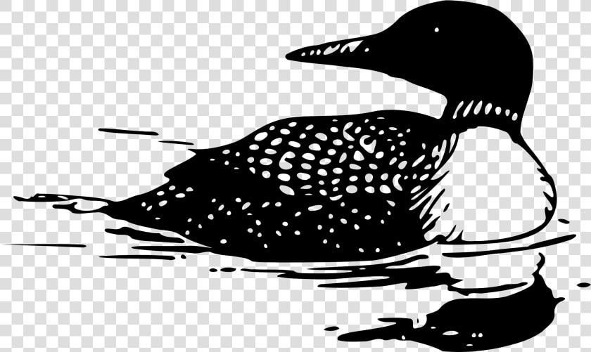 Common Loon Tattoo Bird Drawing Clip Art   Loon Clipart  HD Png DownloadTransparent PNG