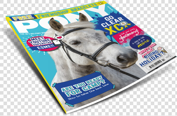 Magazine Png File   Stallion  Transparent PngTransparent PNG